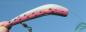 Preview: Hockey Stick 4.5, Länge: 11,5 cm, Farbe: Rainbow-Trout on Chrome von Gibbs Delta